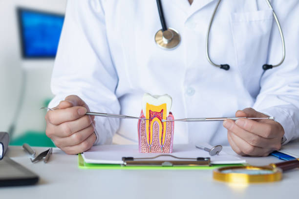 Best Emergency Dental Care for Sports Injuries in Osage City, KS